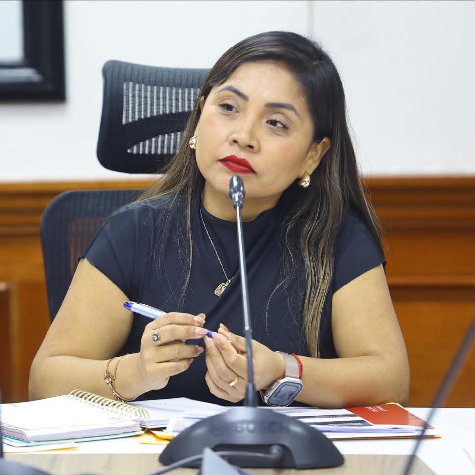 Experiencia en el Congreso y el Estado